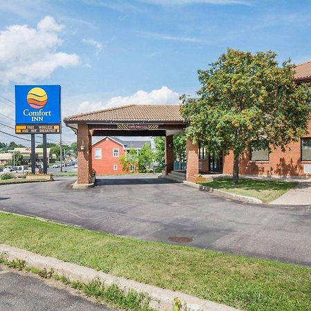 Comfort Inn Bathurst Esterno foto