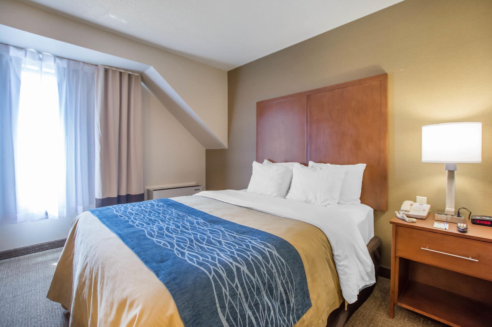 Comfort Inn Bathurst Esterno foto