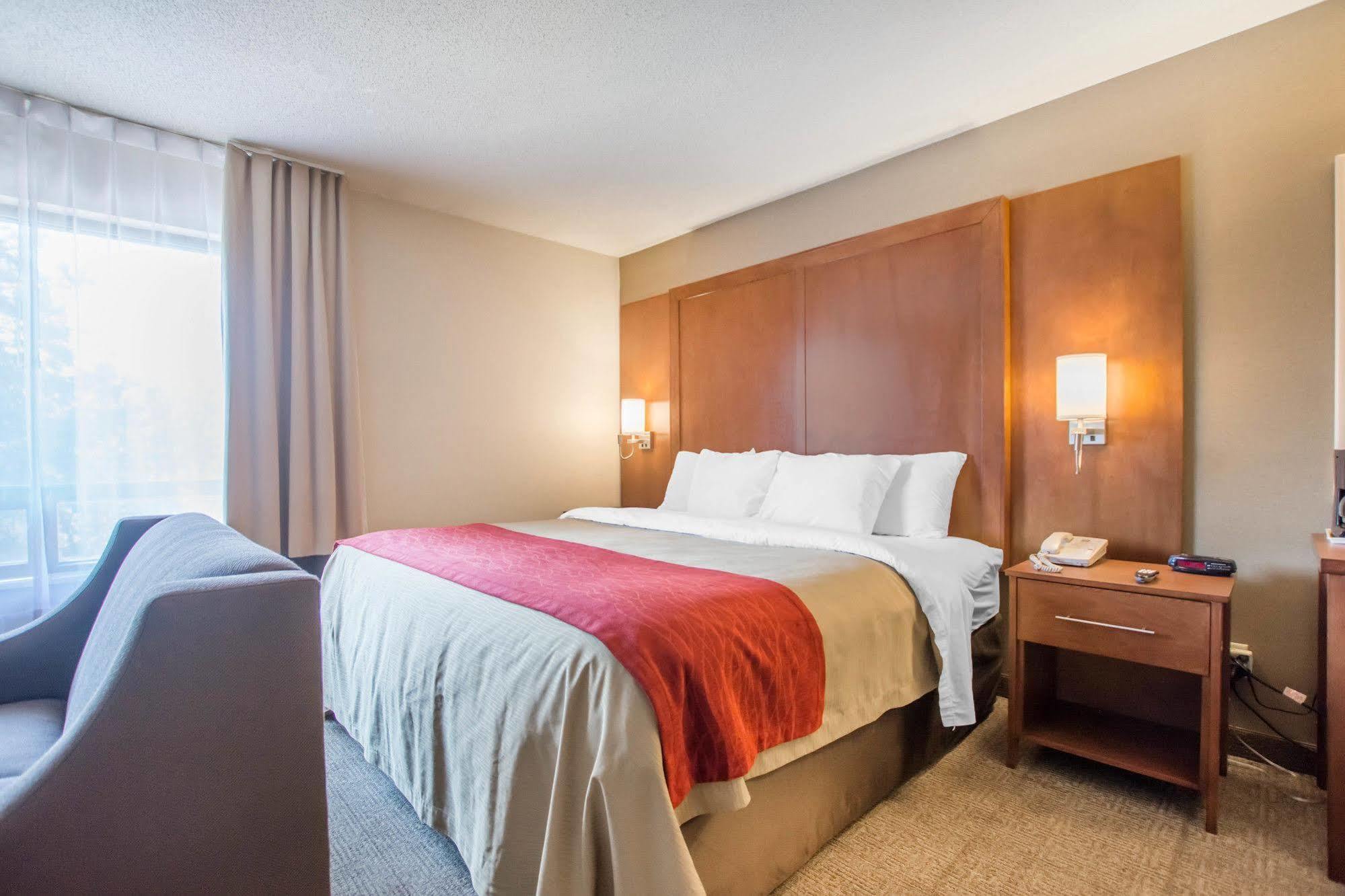 Comfort Inn Bathurst Esterno foto